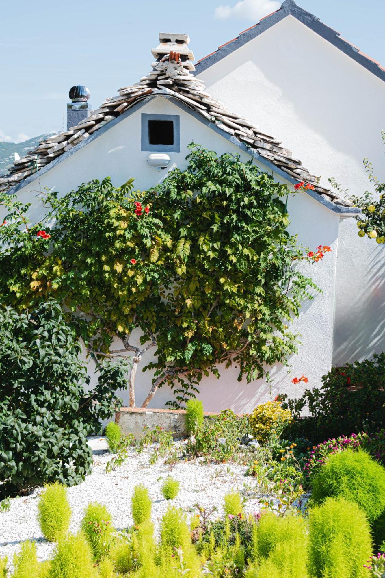 House Camellia With Fenced Pool And Playground Villa Blizna Donja Exterior foto